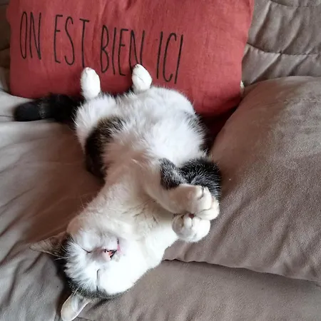 Reve De Causse 3* Saint-Michel-d'Alajou